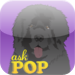 Ask POP: FREE Version